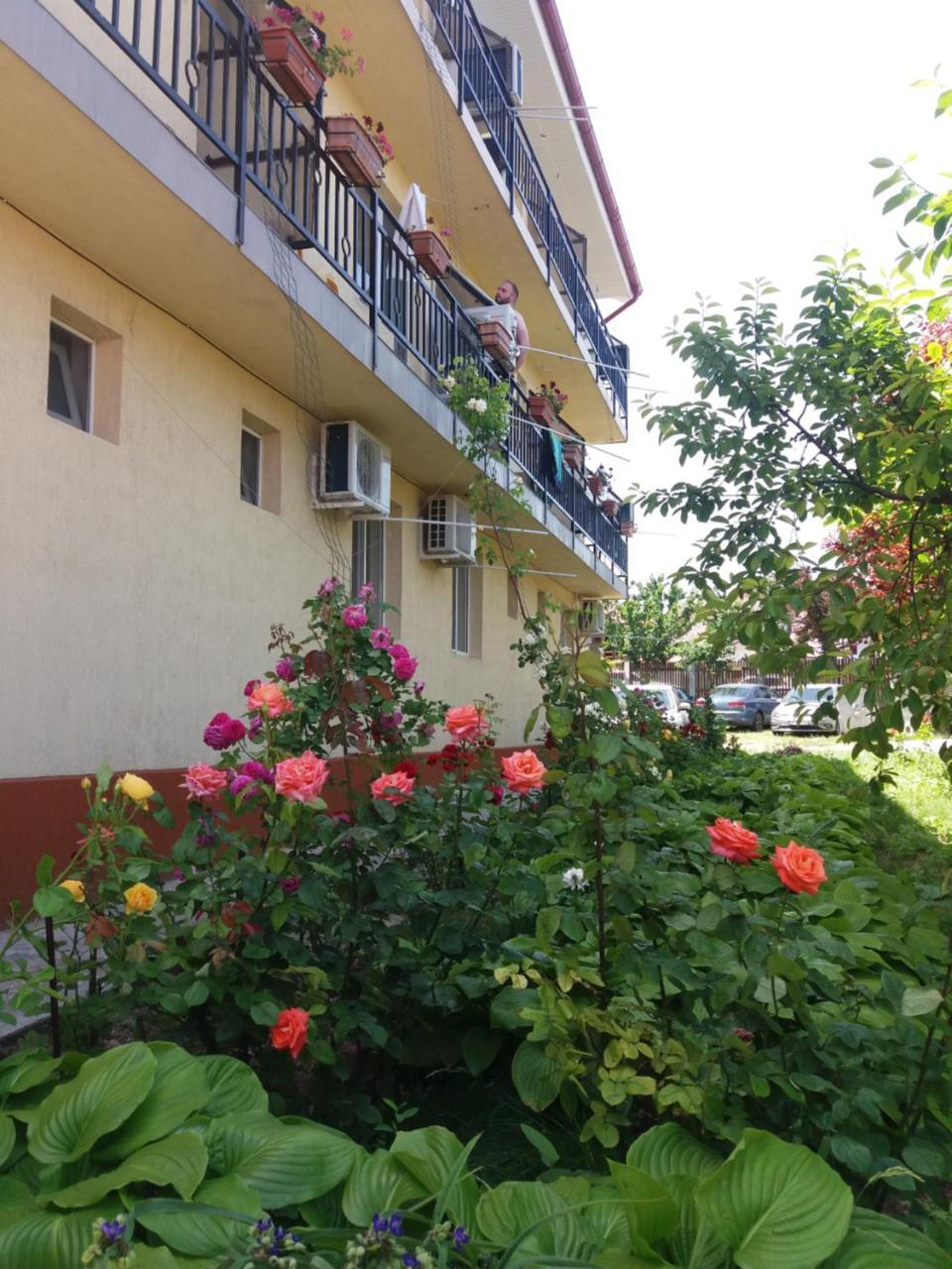 Vila Albatros Vama Veche Luaran gambar